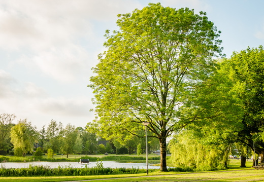 Natuur