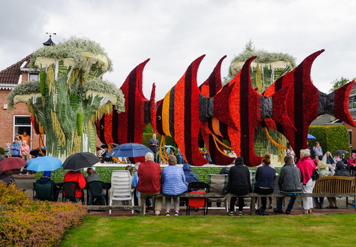 Bloemencorso Eelde 2017