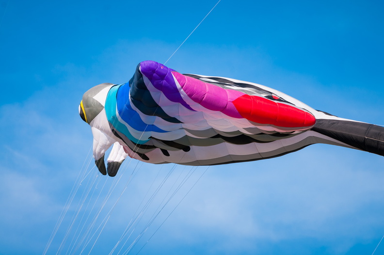 2018-08-18-Vliegerfeest_Emmen-020.jpg