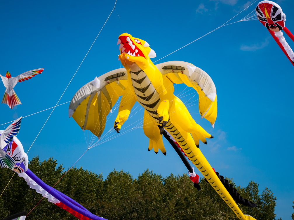 2018-08-18-Vliegerfeest Emmen-085